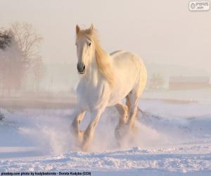 пазл Лошадь, на снегу